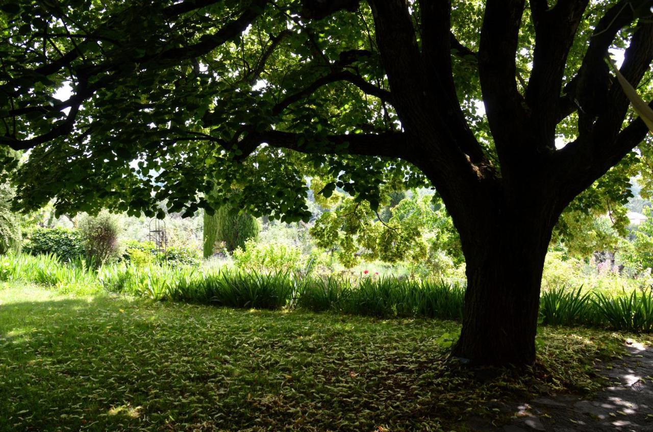 Domaine Des Tilleuls D'Or Saint-Cezaire-sur-Siagne Ngoại thất bức ảnh
