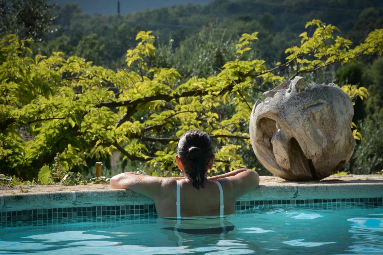 Domaine Des Tilleuls D'Or Saint-Cezaire-sur-Siagne Ngoại thất bức ảnh
