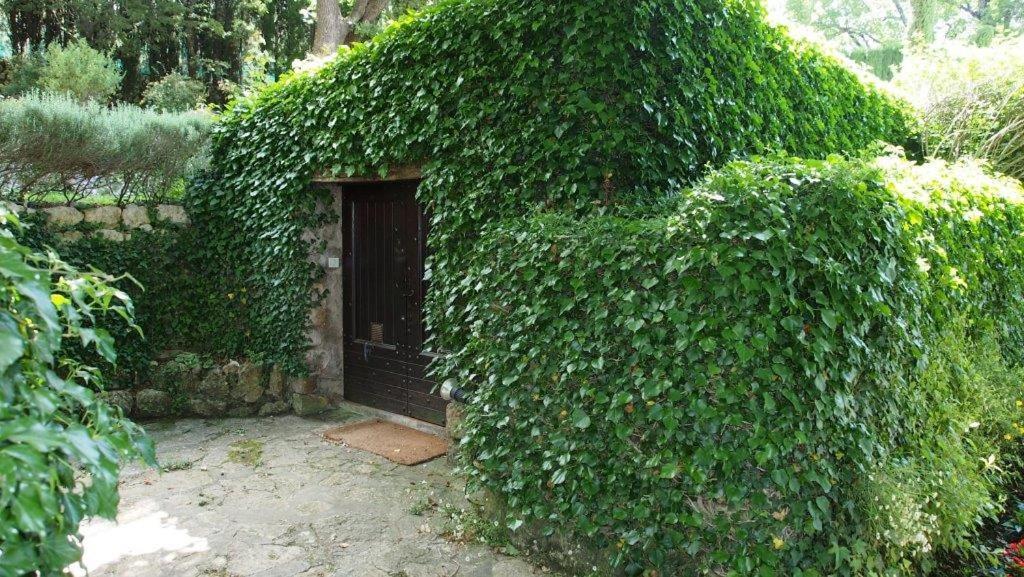 Domaine Des Tilleuls D'Or Saint-Cezaire-sur-Siagne Ngoại thất bức ảnh